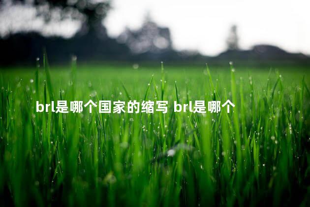 brl是哪个国家的缩写 brl是哪个国家的缩写